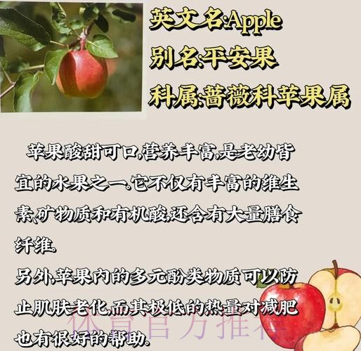 2026世界杯外围赛中的苹果作用与影响深度解析